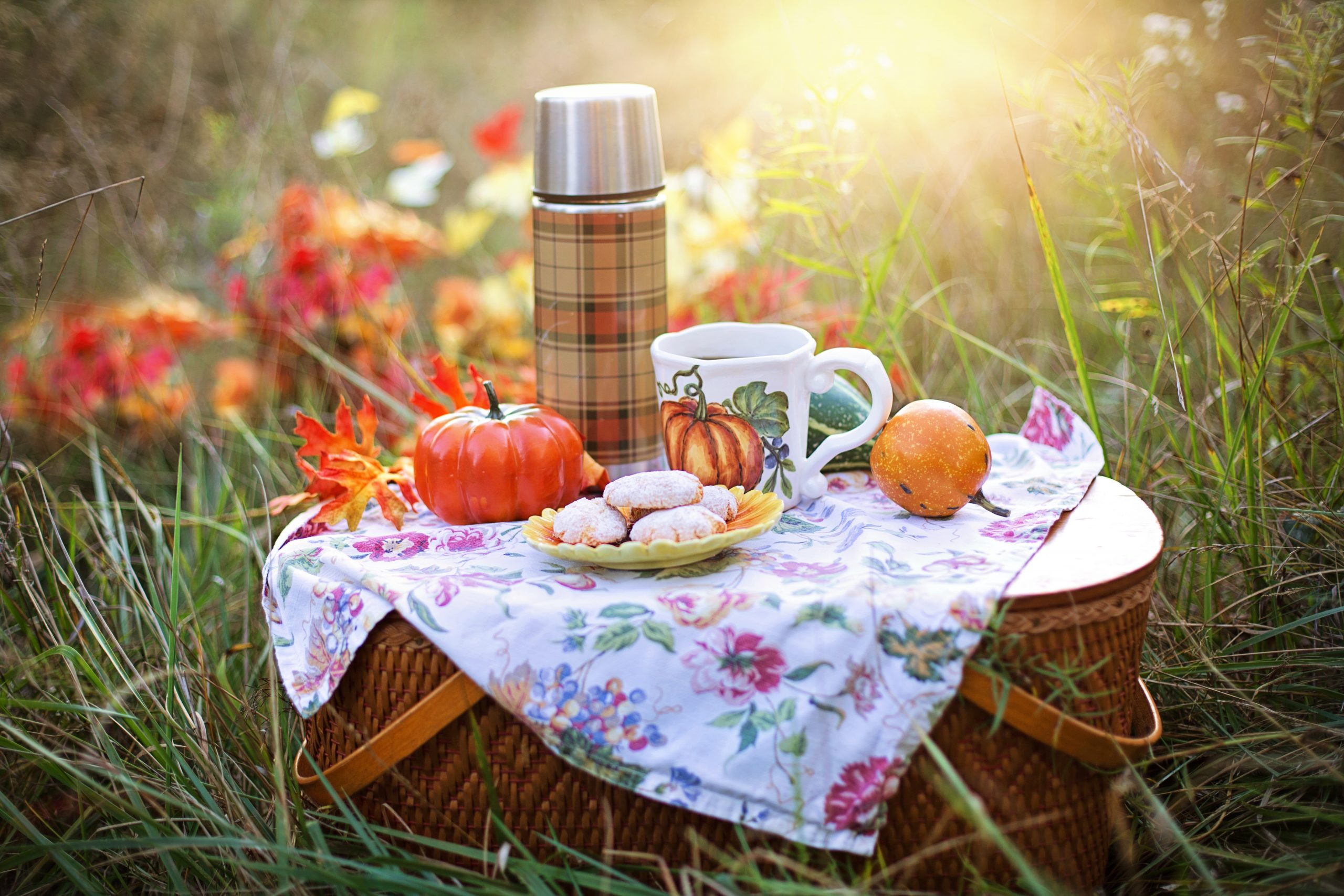 an autum picnic on a basket with fall colored leaves behind it